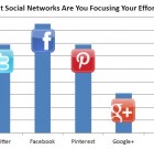 Flash Survey: Social Network Focus for Ecommerce Retailers